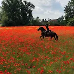 Pirola Music Ranch Bed & Breakfast