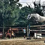 Bed & Breakfast Pirola Music Ranch 3*