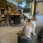 Pirola Music Ranch
