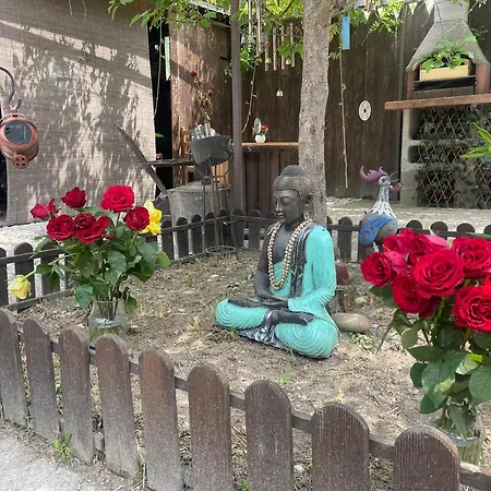 Pirola Music Ranch Bed & Breakfast Romano di Lombardia