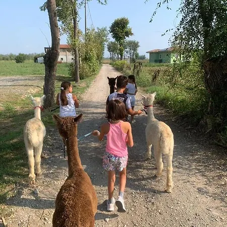 Pirola Music Ranch B&B